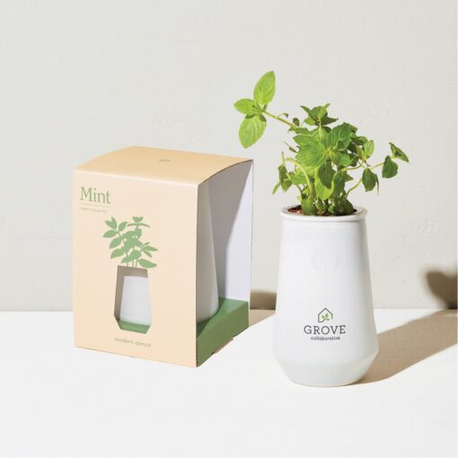 Modern Sprout Tapered Tumbler Grow Kit - White-Mint-4