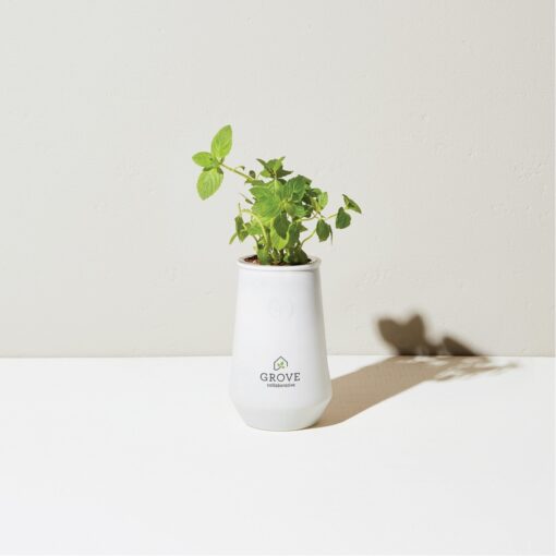 Modern Sprout Tapered Tumbler Grow Kit - White-Mint-5