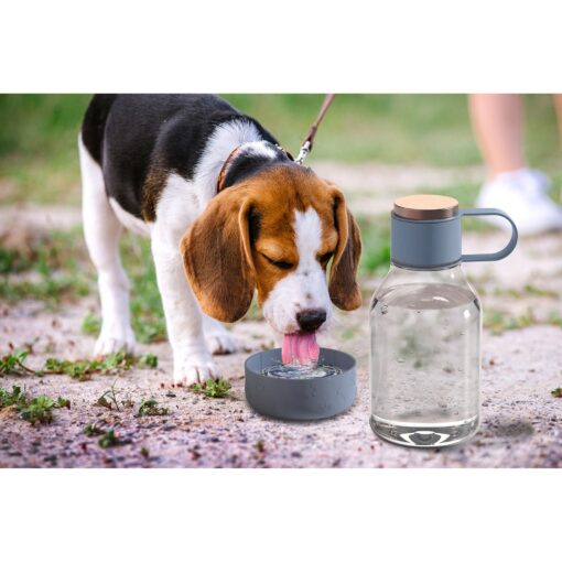 50 Oz. Asobu® Dog Bowl Bottle Lite-10