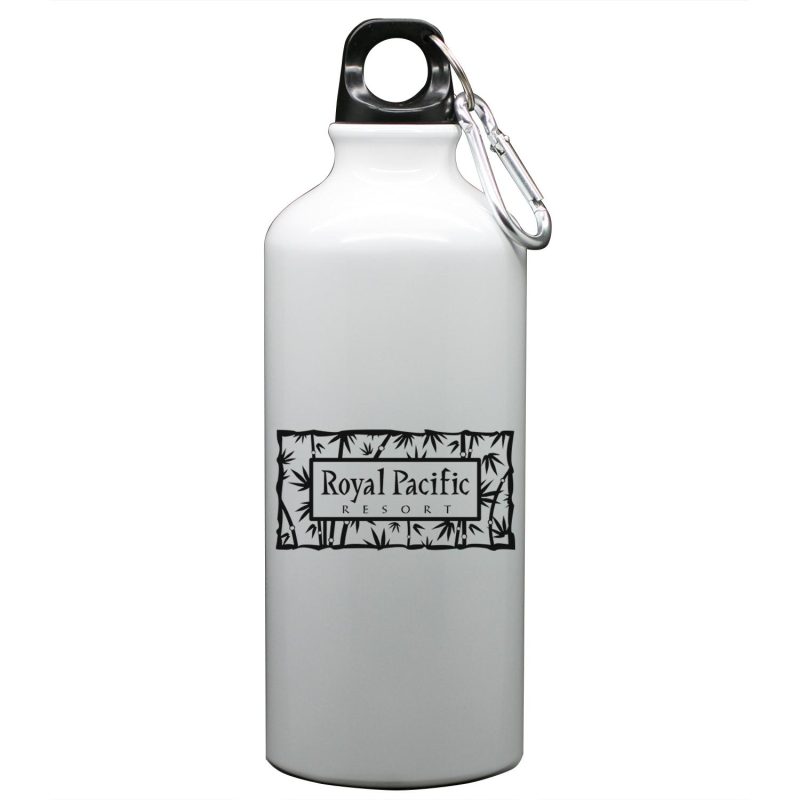 Aluminum Bottle 22 Oz-9