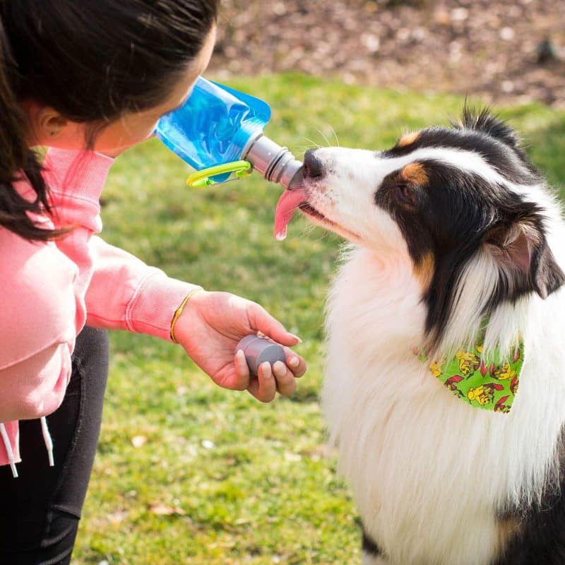 Vapur® Ez Lick Portable Dog Water Bottle-8