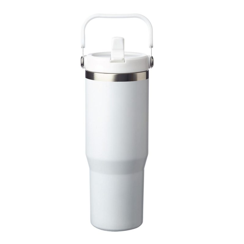 30 oz. VisionSteel Maya Stainless Steel Bottle w/Handle-2