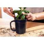 16 oz Planter Mug-4