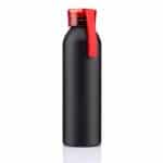 22 oz Regis Bottle-9