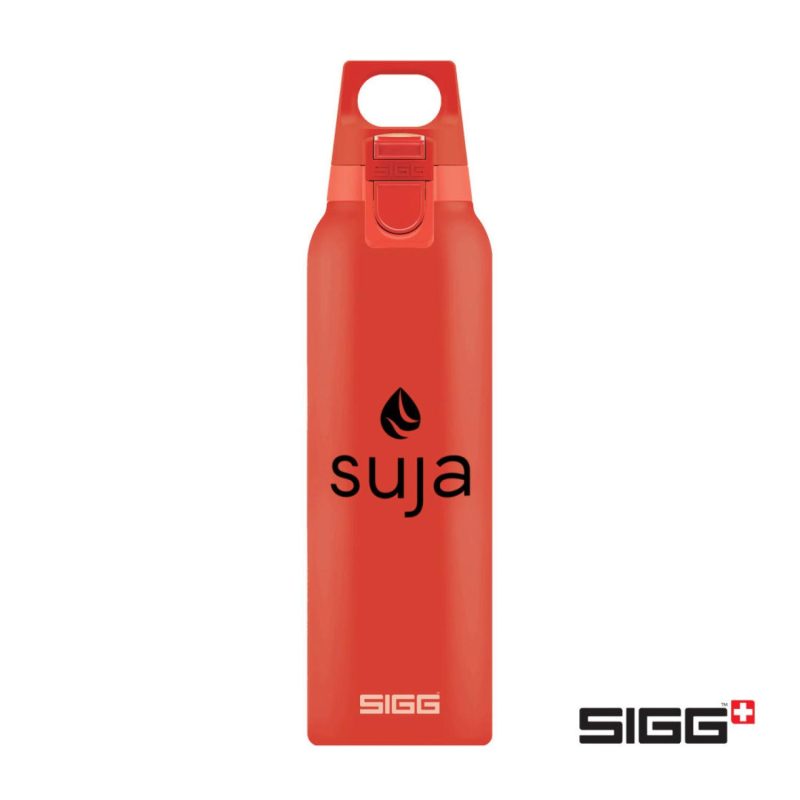 SIGG™ Hot & Cold One Bottle - 17oz-4