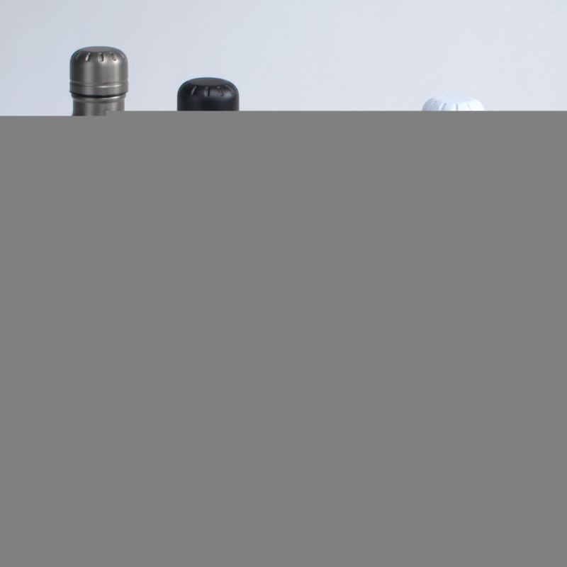 Voyager Stainless Steel Bottle 17 Oz-4
