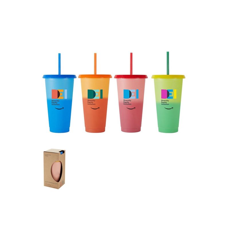 Chameleon-4-PC-Set-TM66SET Chameleon 4 PC Set-1