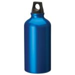 Sonia 16.9 oz. Flask with Twist Top-2