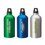 Sonia 16.9 oz. Flask with Twist Top-1