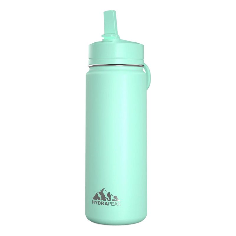 20 oz Hydrapeak® Stainless Steel Insulated Mini Water Bottle w/ Straw Lid-3