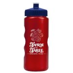 Garyline® Mini Peak Tritan® Metallike Bottle with Push-Pull Lid - 22 oz.-10